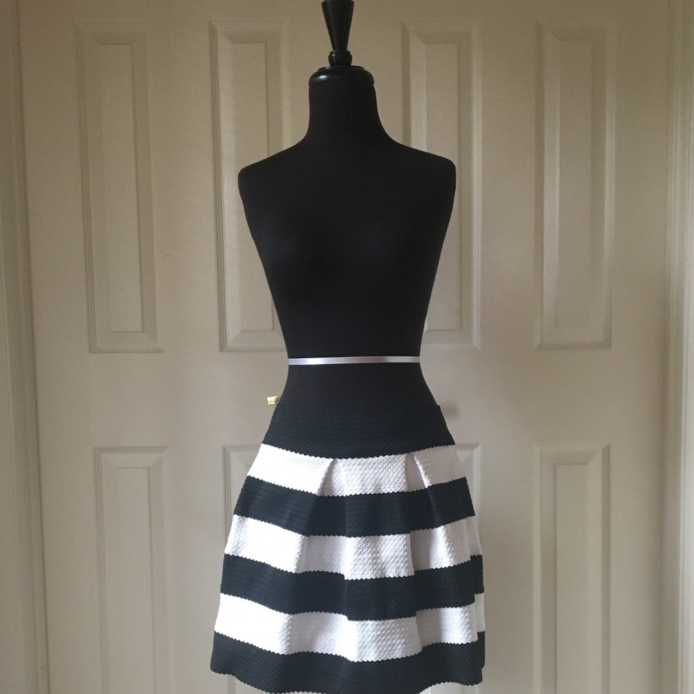 Cleo Black & White Striped Skirt